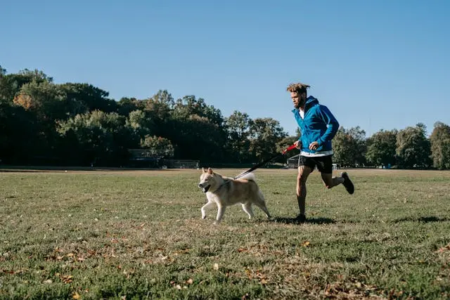 Las Mejores Herramientas para un Paseo Seguro y Agradable